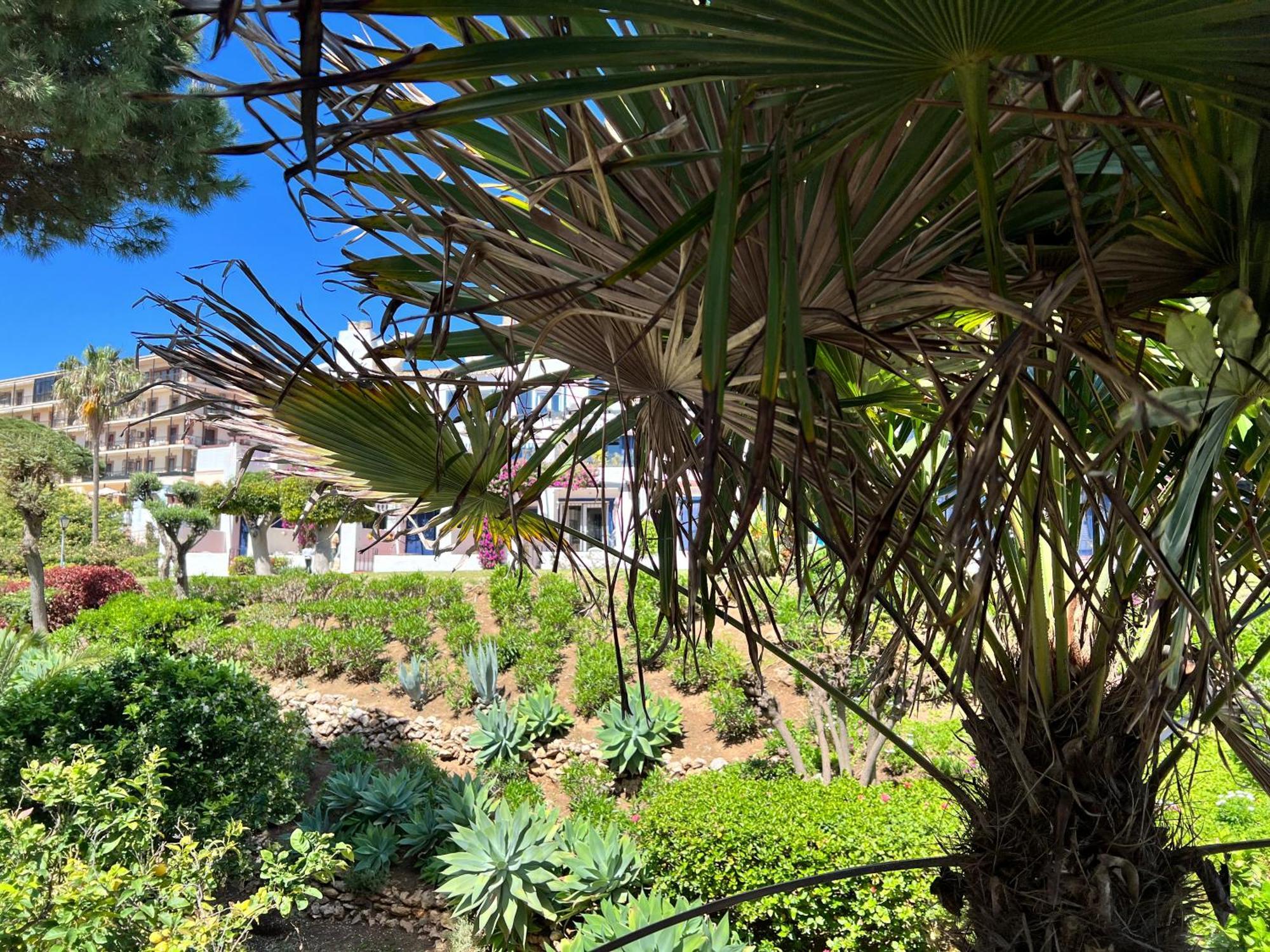 Newly Renovated 2 Bedroom Beachfront House Sitio de Calahonda Kültér fotó